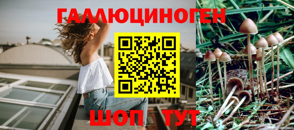 Галлюциногенные грибы мицелий  Вход с VPN  Сургут  Галлюциногенные грибы MAGIC MUSHROOMS 